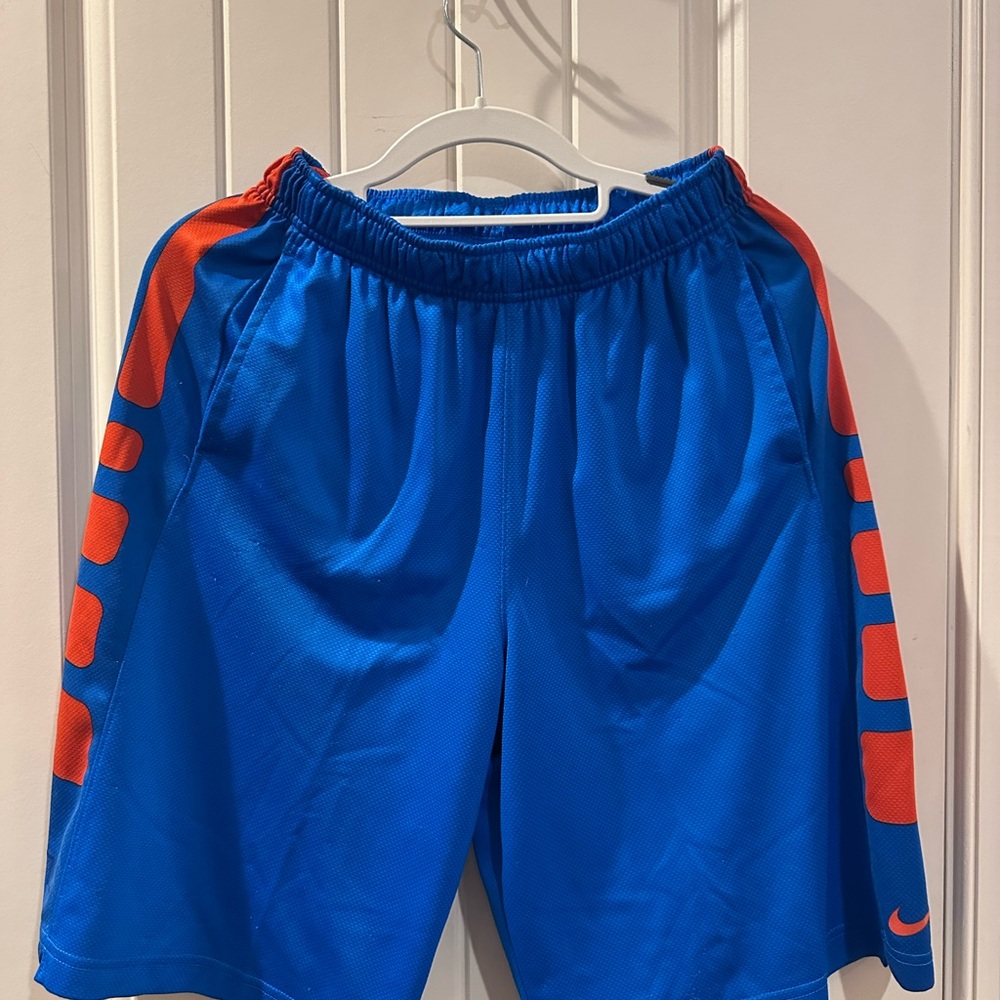 Nike Dri-FIT Blue Shorts
